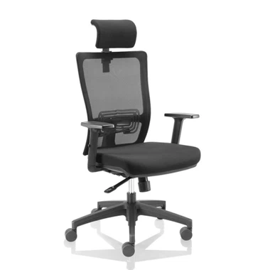 Càtedra executiva de malla